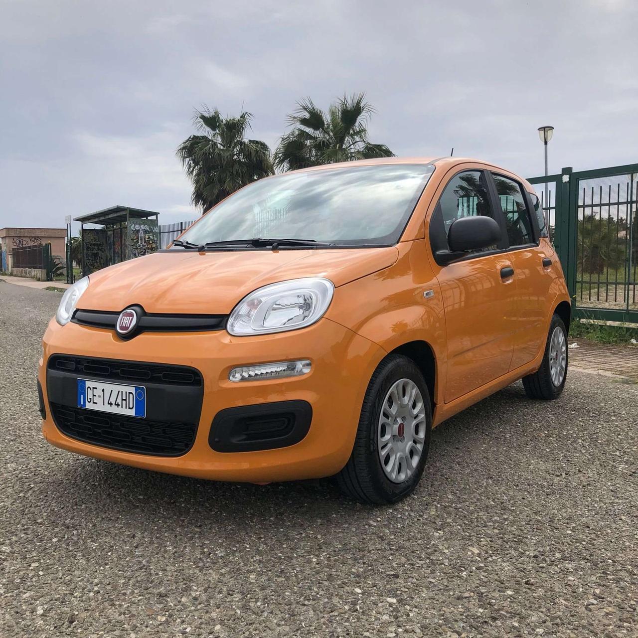 Fiat Panda Panda