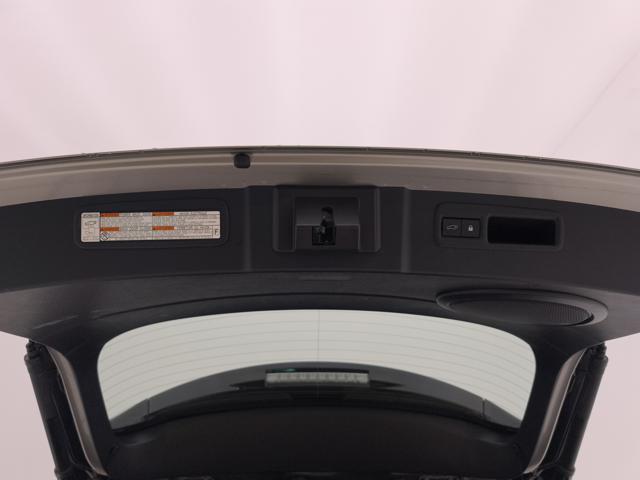 LEXUS NX 300h 300h 2.5 Premium 4wd cvt