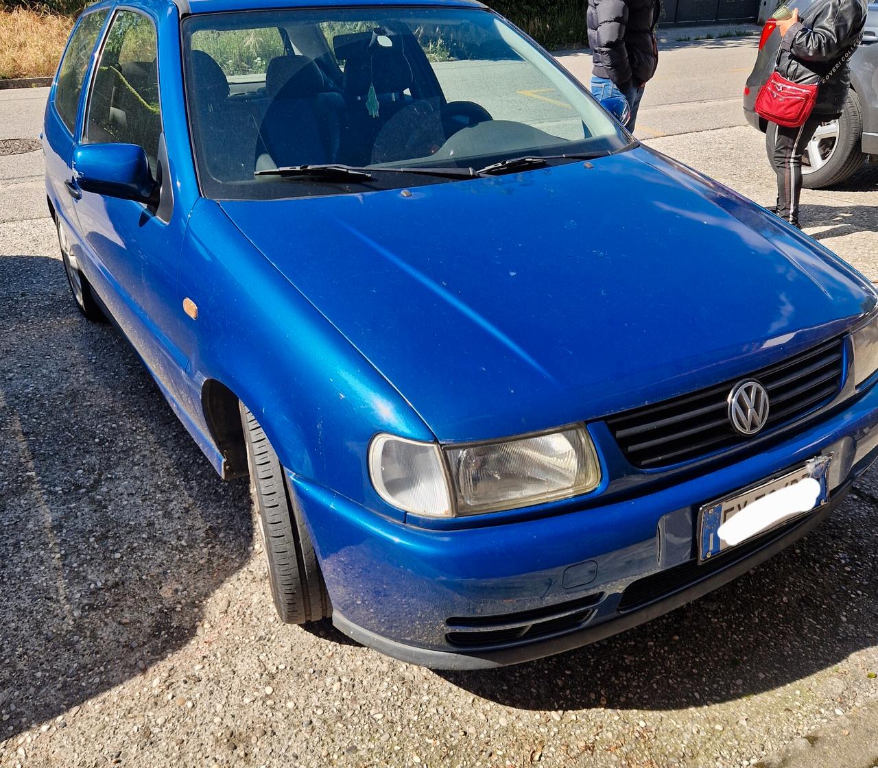 Volkswagen Polo 1.4 3p - 60 CV