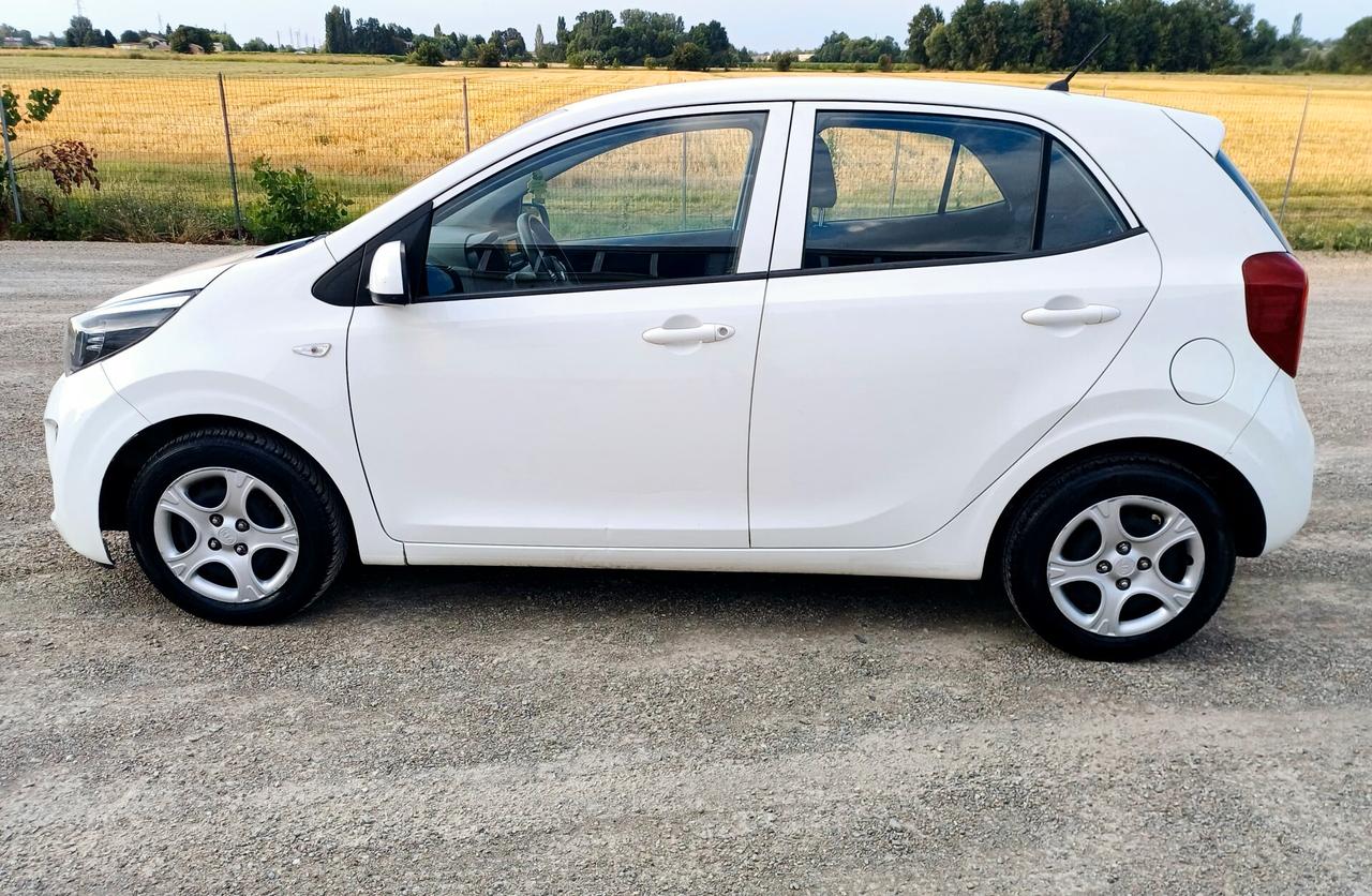 Kia Picanto 1.0 12V 5 porte GT Line