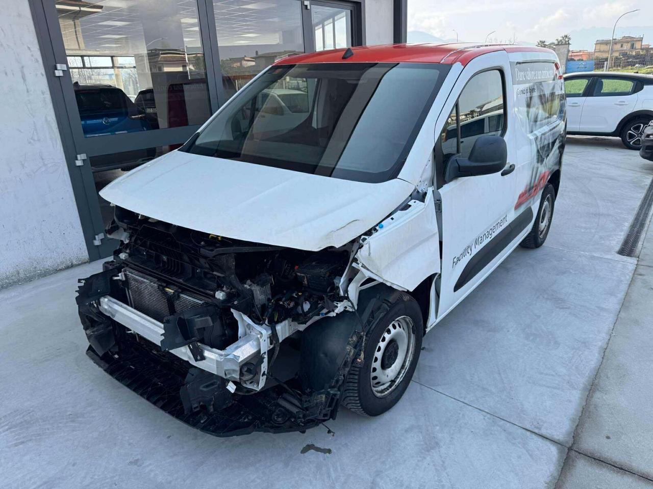 Peugeot Partner Tepee BlueHDi 100 Active POCO SINISTRATO