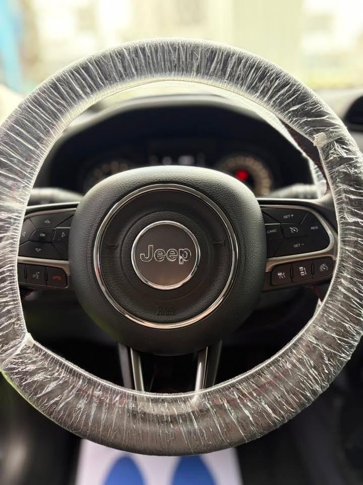 Jeep Renegade 1.6 Multijet 120 CV Limited S 2017