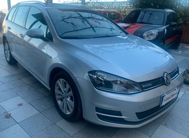 Volkswagen Golf 1.4 TGI 5p. Executive BlueMotion