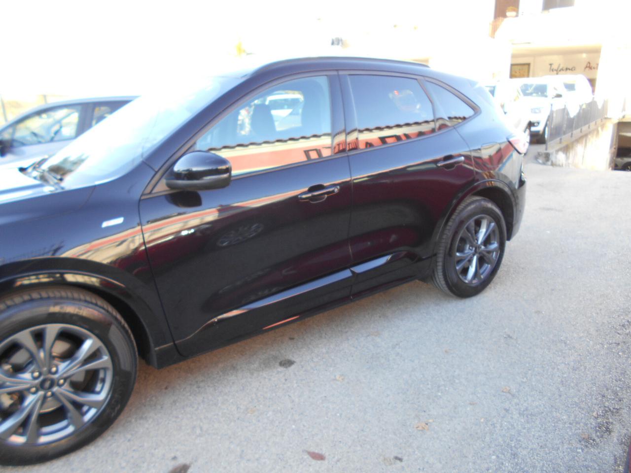 Ford Kuga 1.5 EcoBlue 120 CV aut. 2WD ST-Line