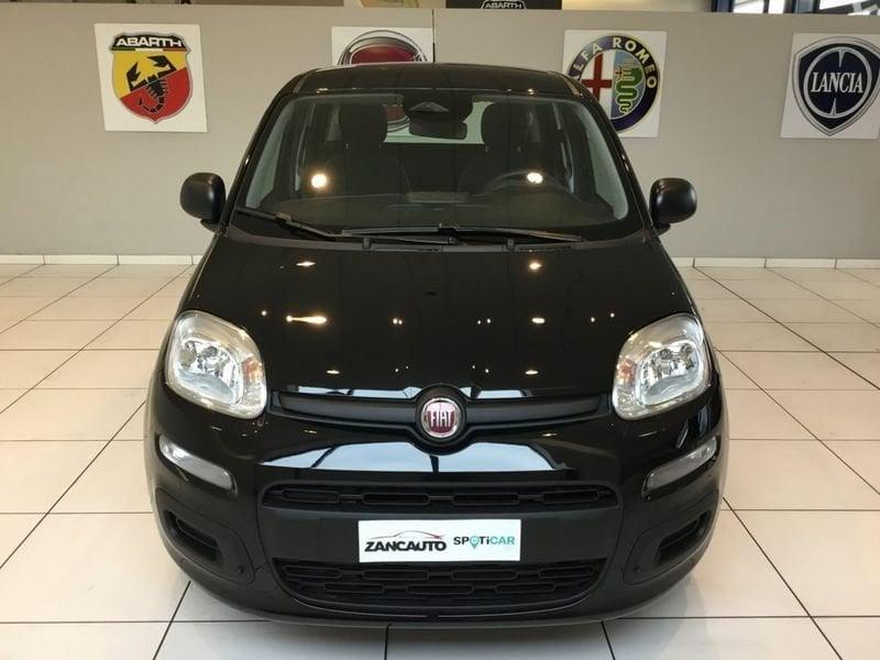 FIAT Panda Panda 1.0 FireFly S&S Hybrid Pop 65cv