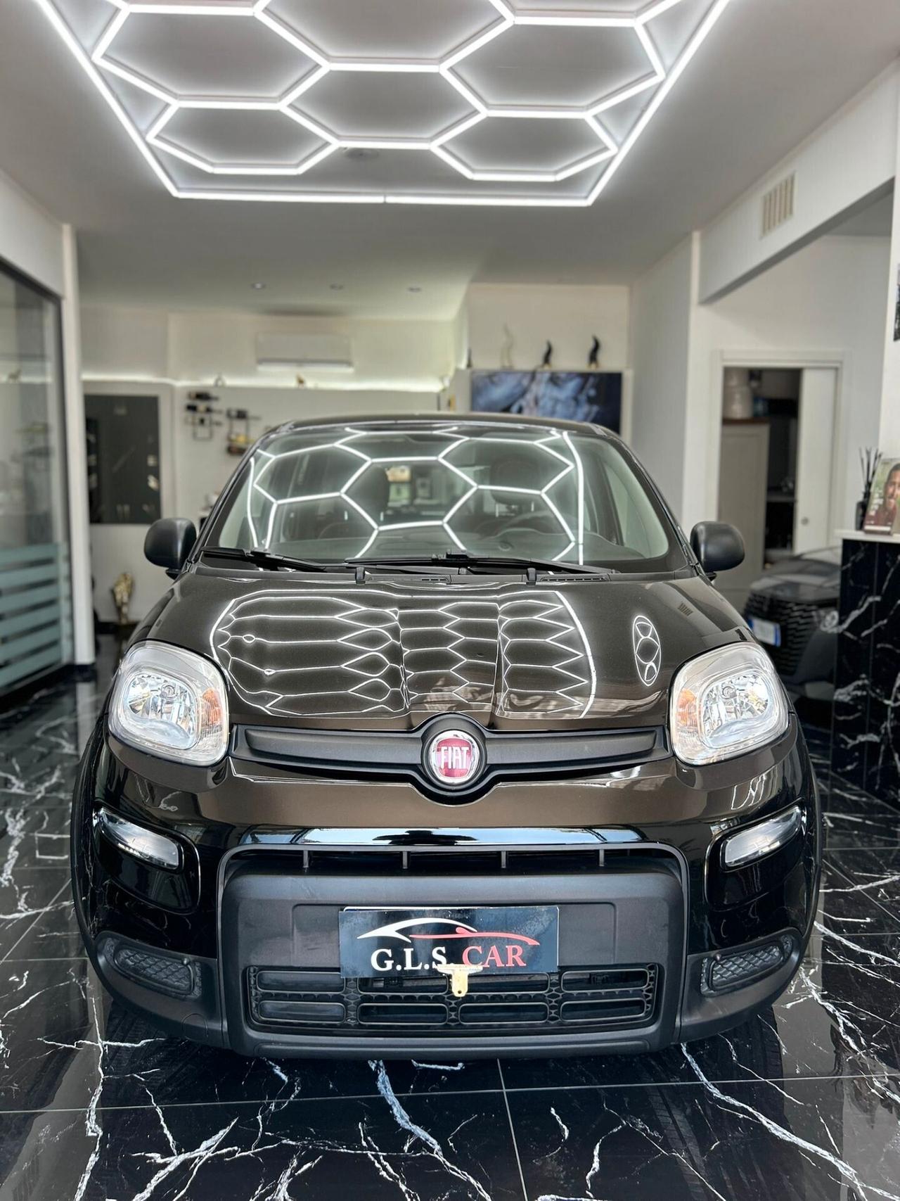 Fiat Panda 1.0 FireFly S&S Hybrid/benzina 100 cv City Cross