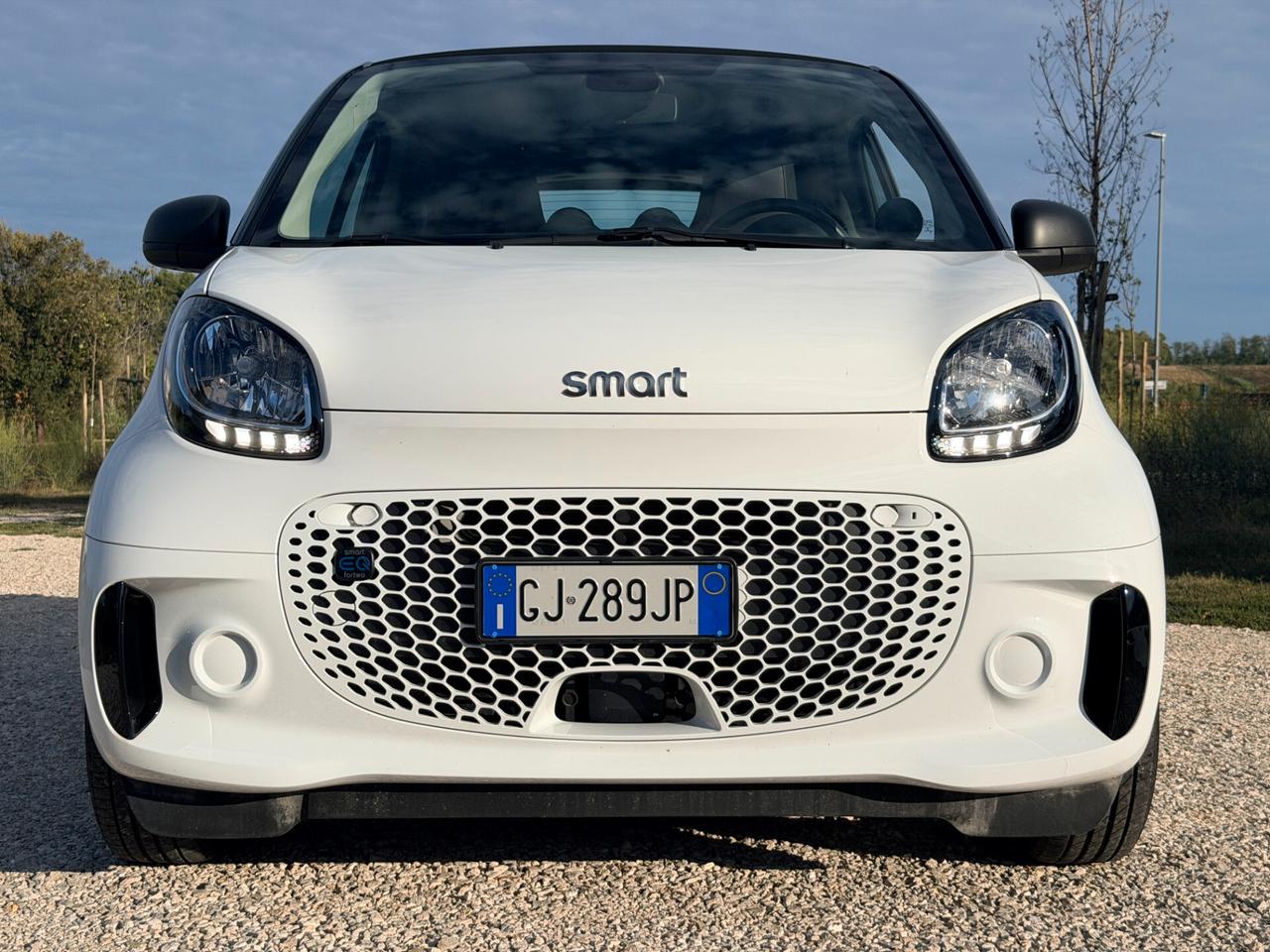 Smart ForTwo EQ Passion 22kw Charger