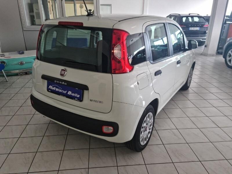 FIAT Panda 3ª serie Panda 1.0 FireFly S&S Hybr...