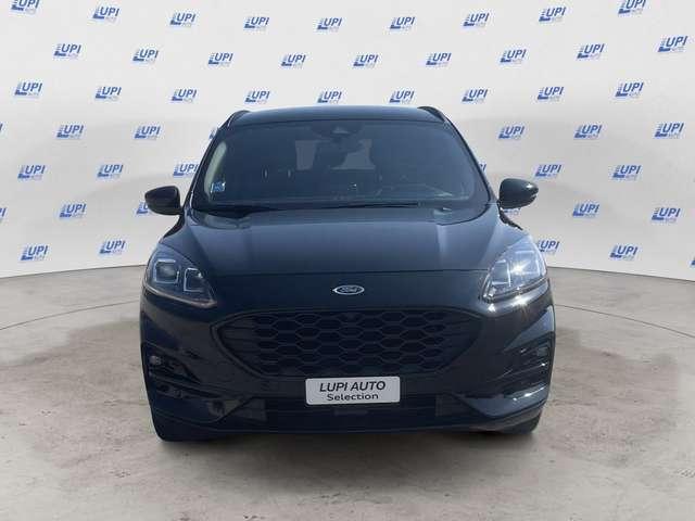 Ford Kuga 2.0 ecoblue ST-Line X awd 120cv auto