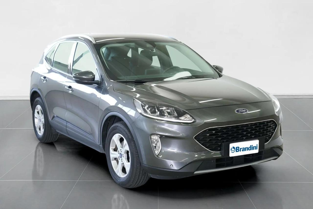 FORD Kuga 1.5 ecoblue Titanium Business 2wd 120cv