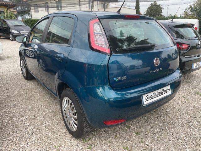 FIAT Punto 1.4 8V 5 porte Lounge