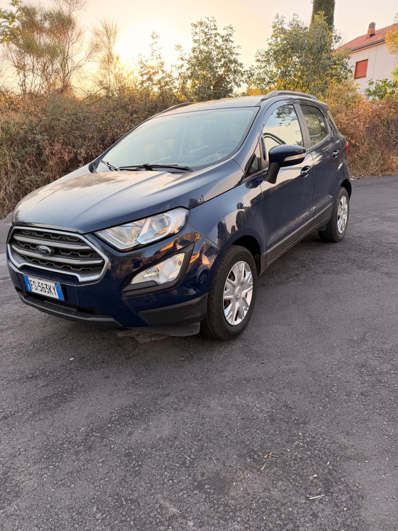 Ford EcoSport 1.0 EcoBoost 100 CV Business