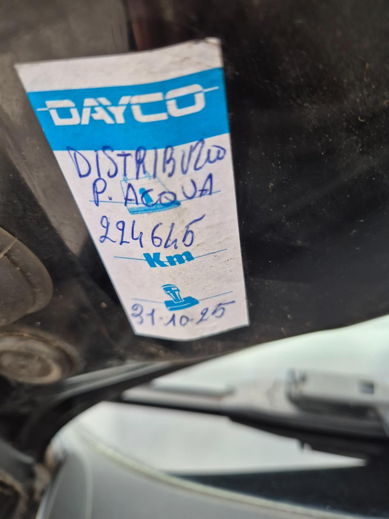 Volkswagen Polo 1.2 TDI DPF 5 p. Trendline cinghia appena sostituita