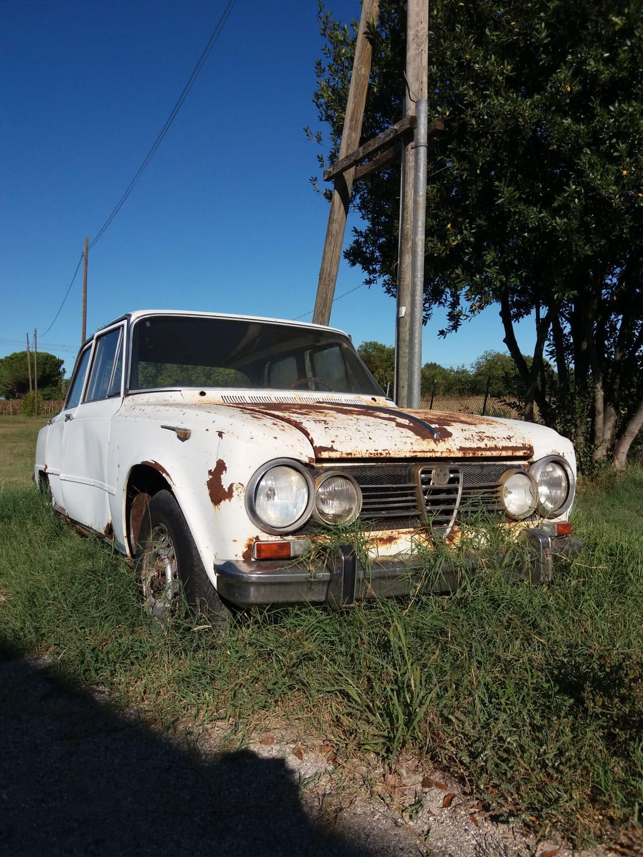 Alfa Romeo Lancia Fiat