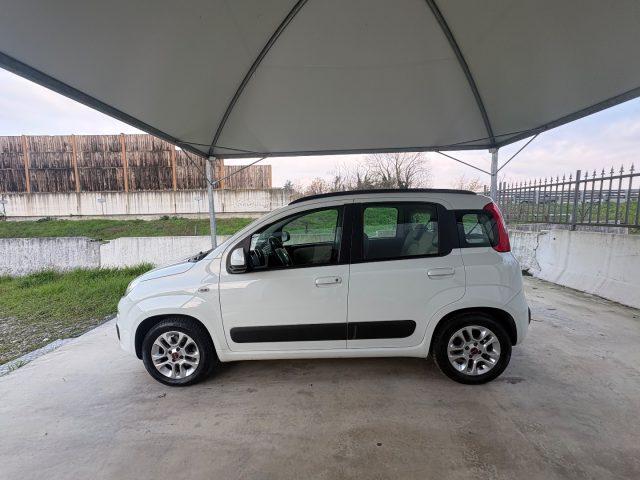 FIAT Panda 1.2 EURO 6 B/GPL OK NEOP. BLUETHOOT CERCHI IN LEGA