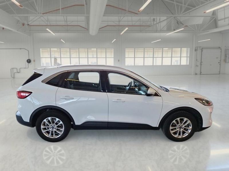 FORD KUGA 1.5 ECOBLUE 120 CV 2WD TITANIUM BUSINESS SUV