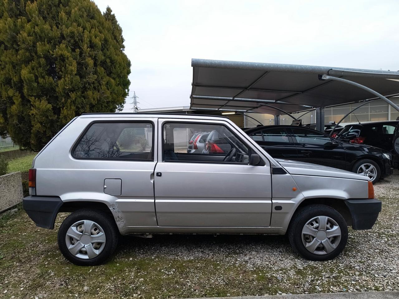 Fiat Panda 1100 i.e. cat Young