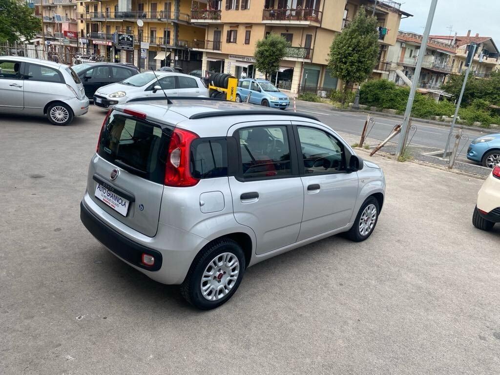 Fiat Panda 1.2 Lounge Con Solo KM 63000