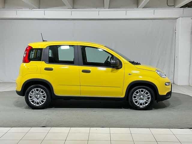 Fiat Panda 1.0 FireFly S&S Hybrid KM ZERO