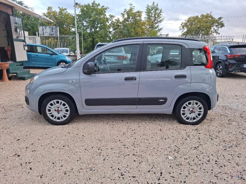 Fiat Panda 1.0 FireFly S&S Hybrid