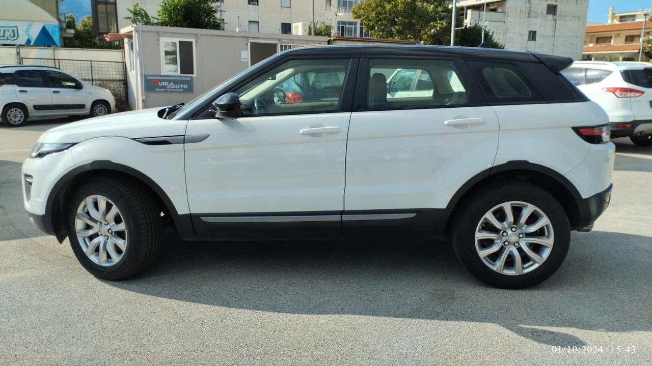 Land Rover Range Rover Evoque Range Rover Evoque 2.0 TD4 150 CV 5p. Business Edition