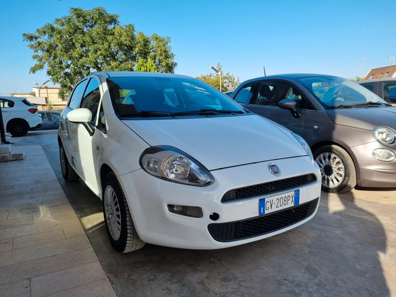 Fiat Punto 1.2 8V 5 porte Street