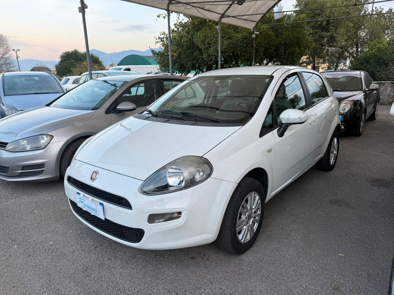 Fiat Punto 1.4 8V 5 porte Natural Power Easy