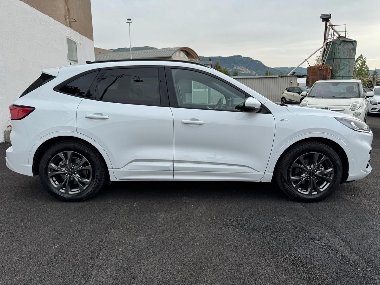 Ford Kuga 1.5 EcoBlue 120 CV aut. 2WD ST-Line X