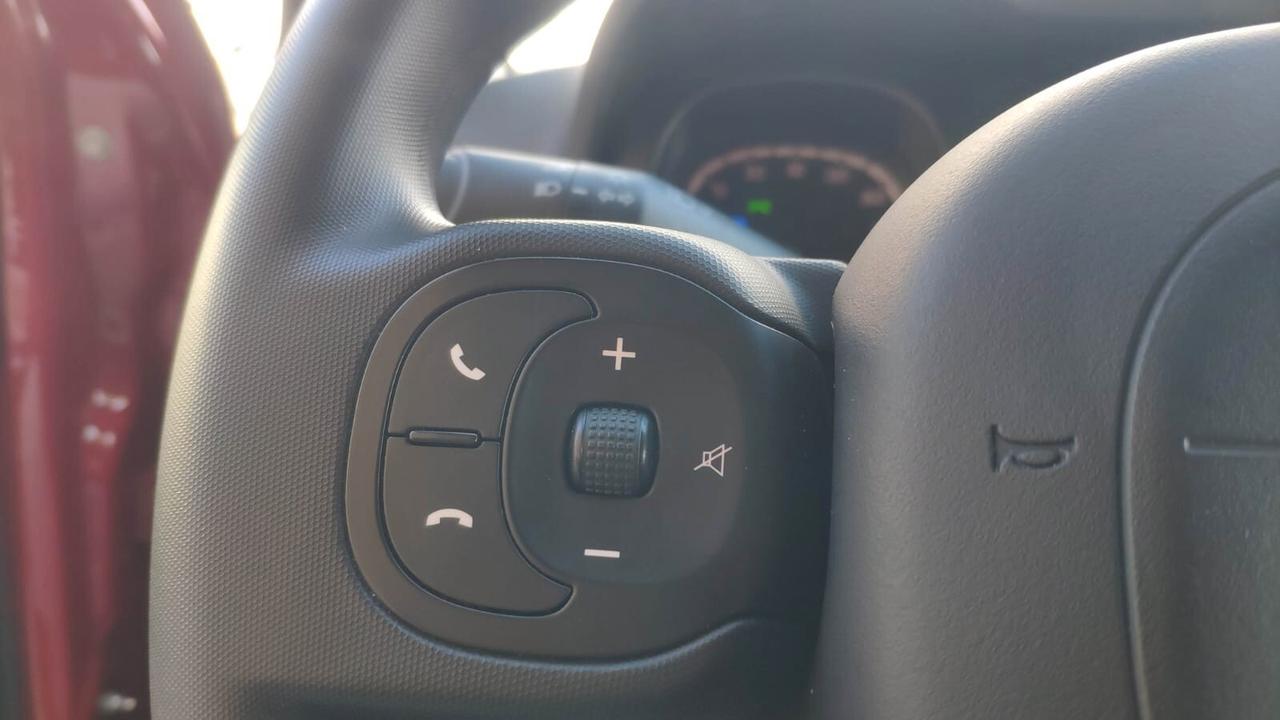 Fiat Panda Cross 1.0 FireFly S&S Hybrid