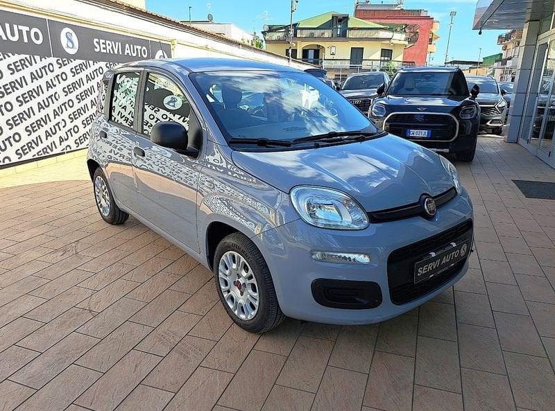 FIAT Panda Panda 1.2 Easy easypower Gpl 69cv