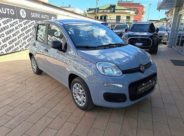 FIAT Panda Panda 1.2 Easy easypower Gpl 69cv