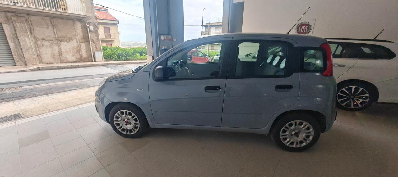 Fiat Panda Fiat Panda 1.0 benzina