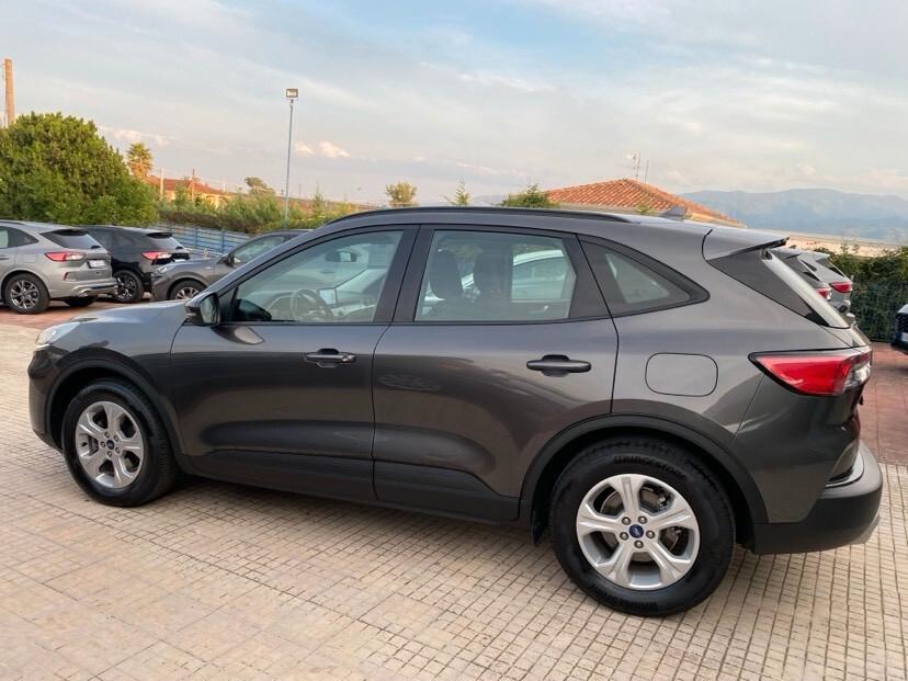 Ford Kuga 1.5 EcoBlue 120 CV 2WD Connect
