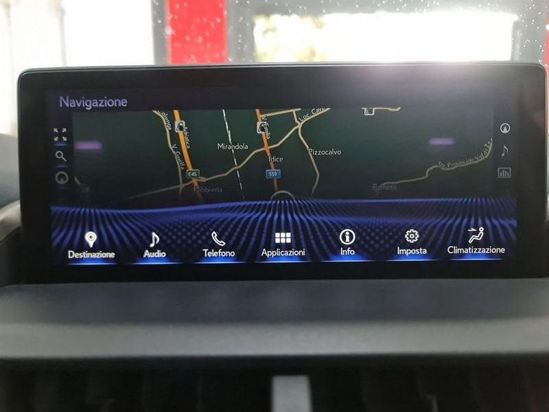 Lexus NX NX Hybrid 4WD Luxury