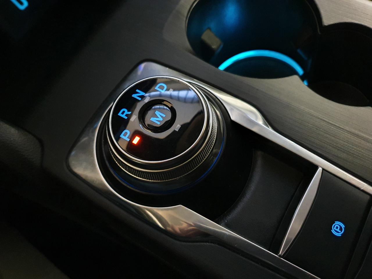 FORD Focus 4ª serie - Focus 1.5 EcoBlue 120 CV automatico 5p. Business Co-Pilot