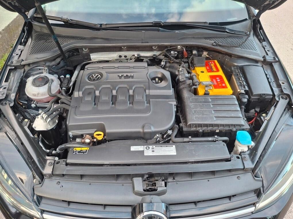 Volkswagen Golf 1.6 TDI 115cv DSG - 2018