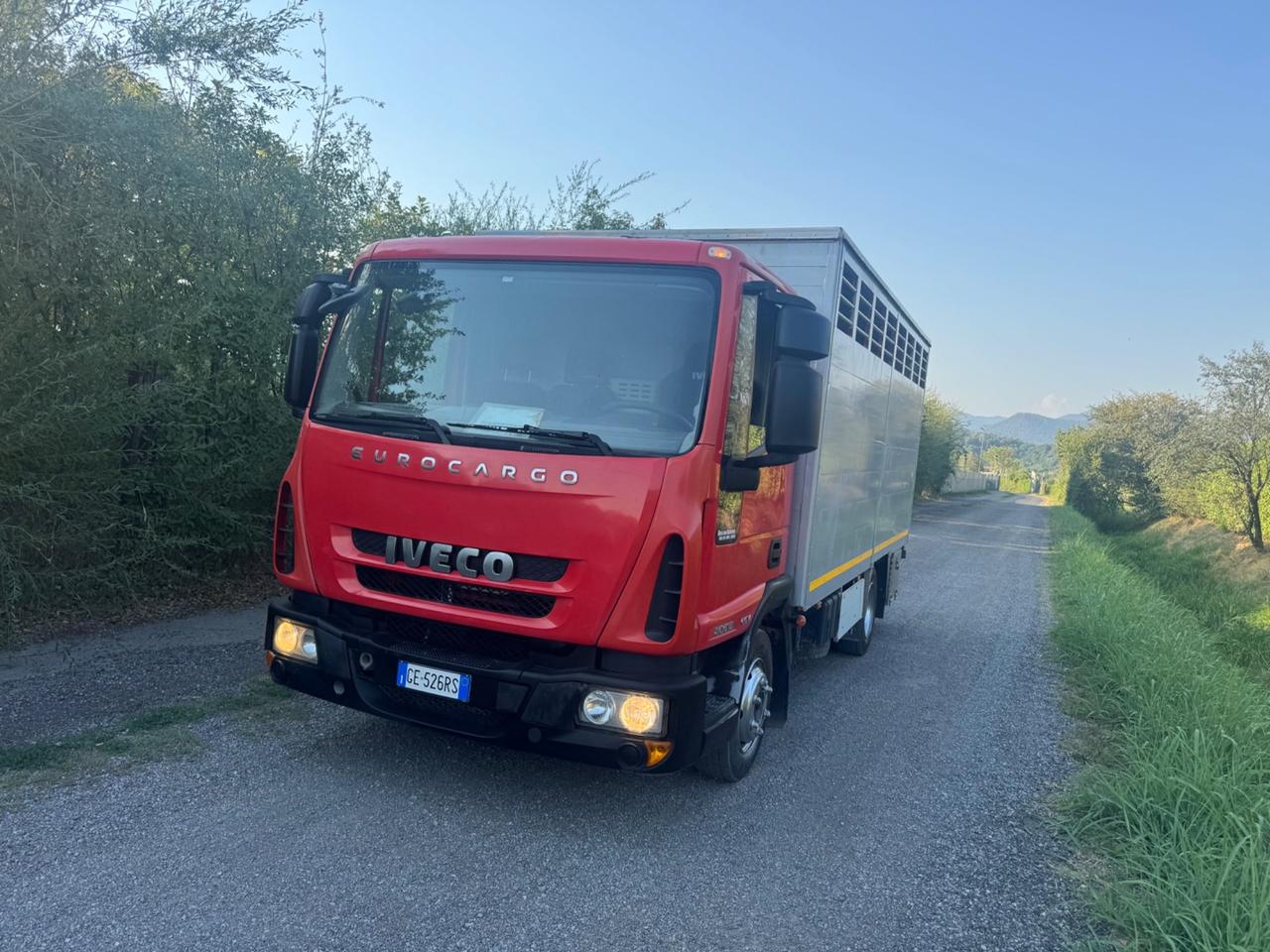 Iveco Eurocargo trasportato animali vivi