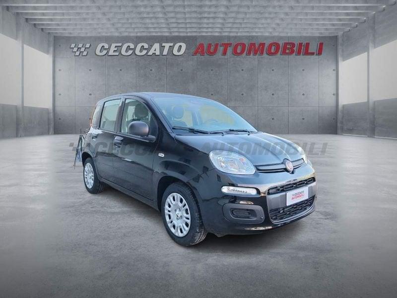 FIAT Pandina Pandina 1.0 65cv Hybrid Pop