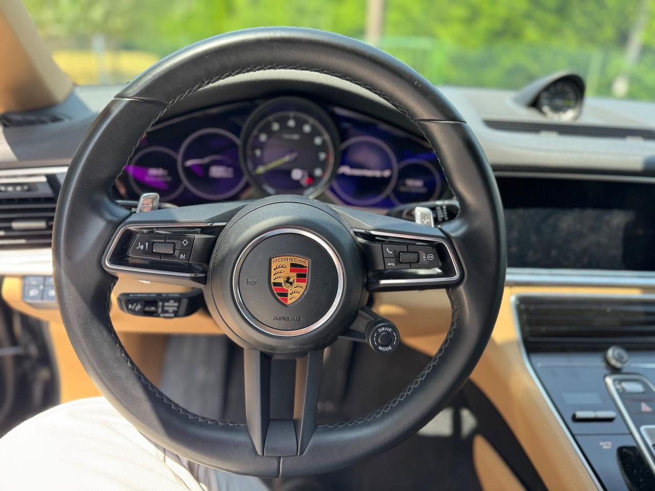 Porsche Panamera 10 Years Edition 2.9 4 E-Hybrid PHEV #5789