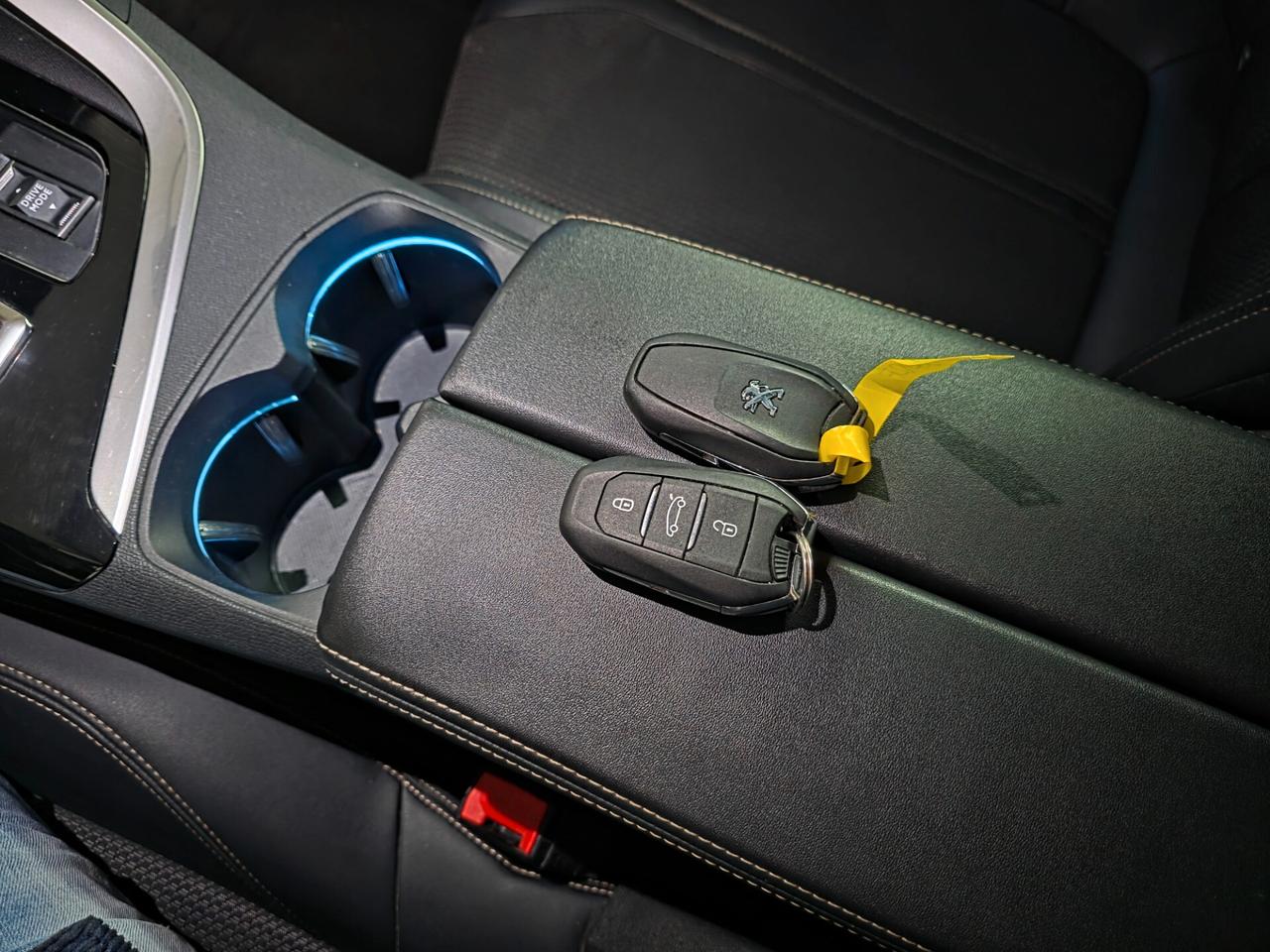 Peugeot 3008 BlueHDi 130 S&S EAT8 GT TETTO PANORAMICO