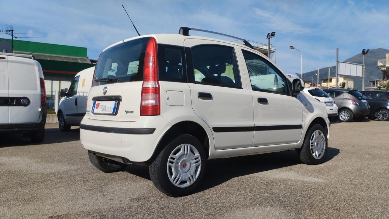 Fiat Panda 1.4 Dynamic Natural Power Mamy