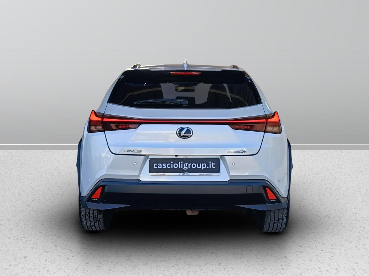 LEXUS UX 2019 - UX 250h 2.0 Luxury 4wd cvt my20