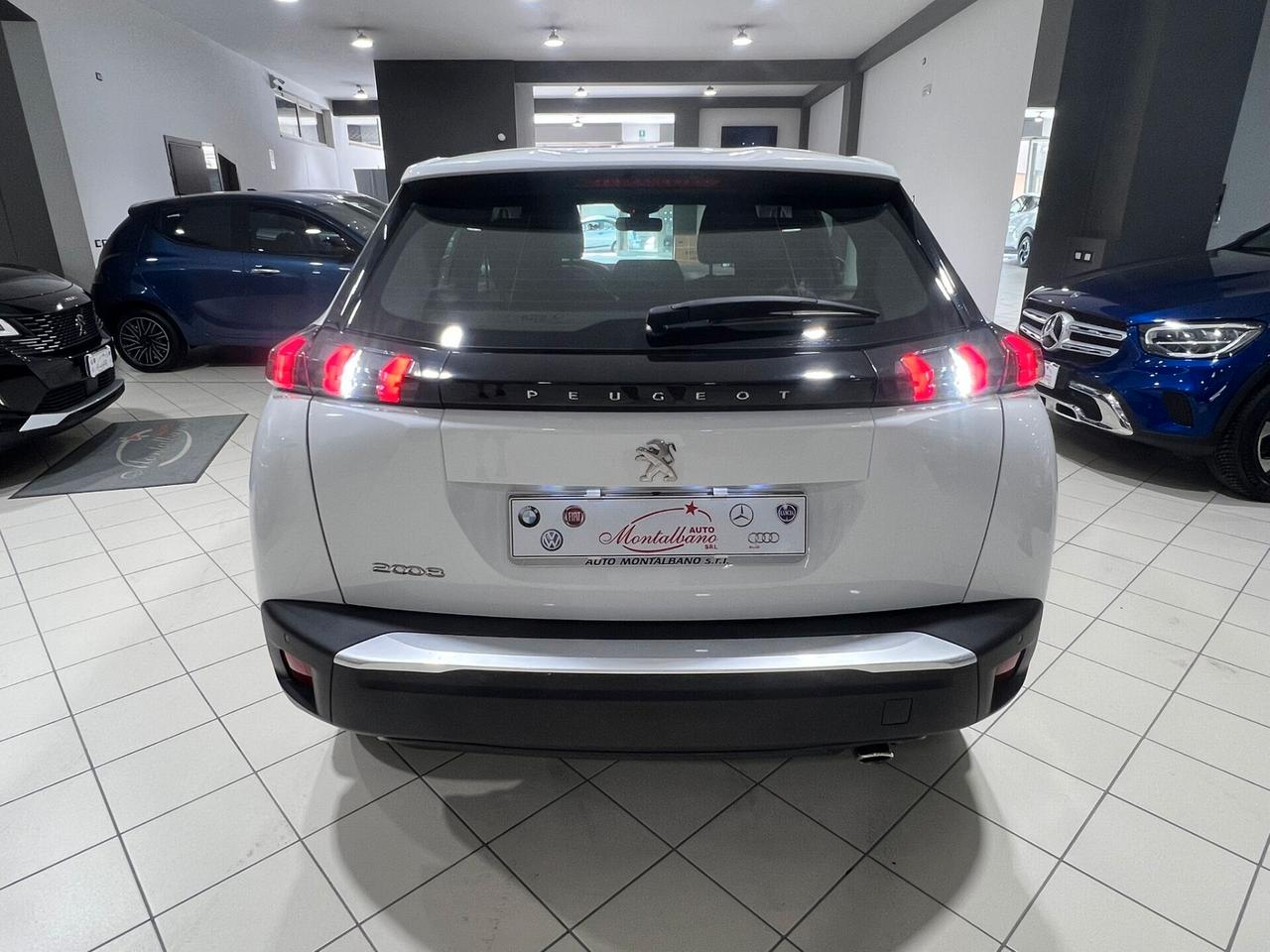 Peugeot 2008 BlueHDi 110 S&S Active