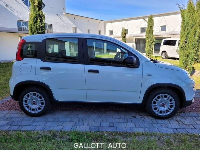 FIAT Panda 1.0 FireFly S&S Hybrid-NESSUN OBBL. FIN.