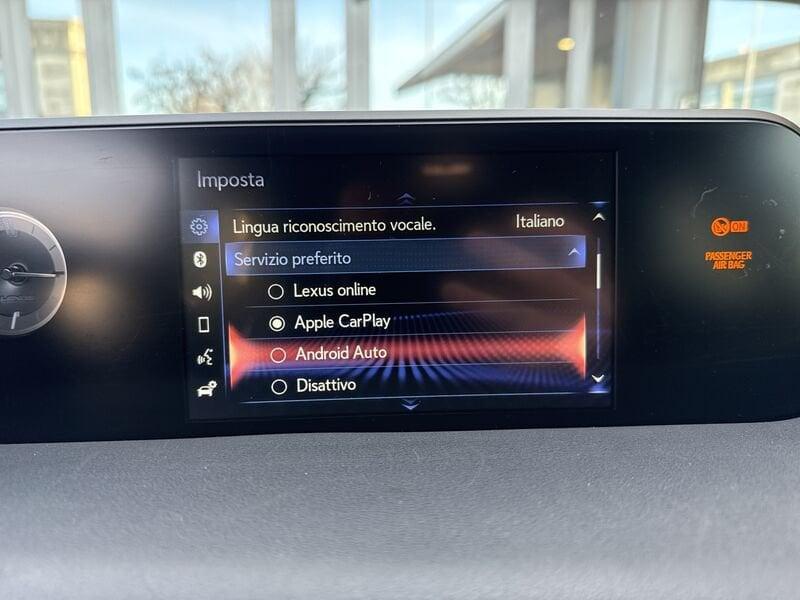 Lexus UX LEXUS UX 250 Hybrid 4WD Midnight