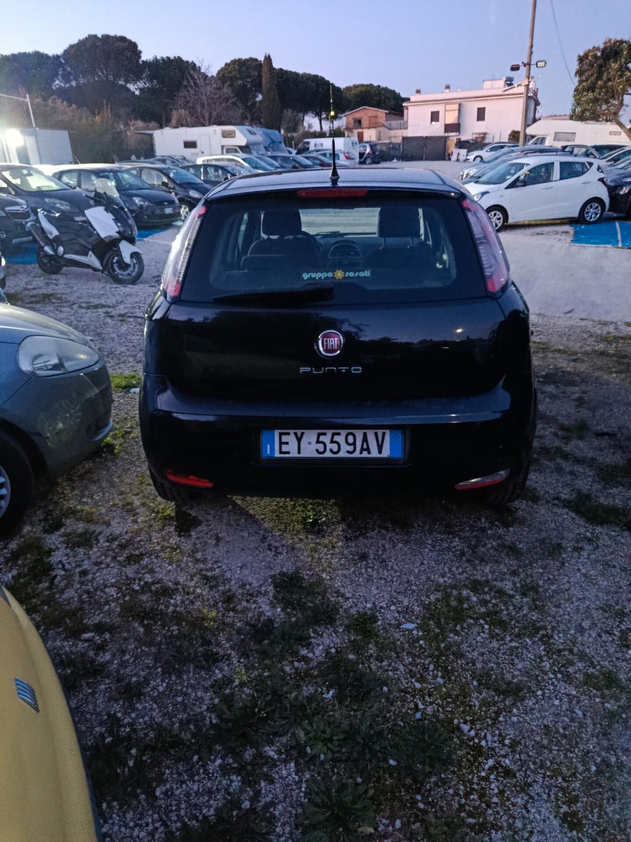 Fiat Punto 1.2 8V 5 porte Young