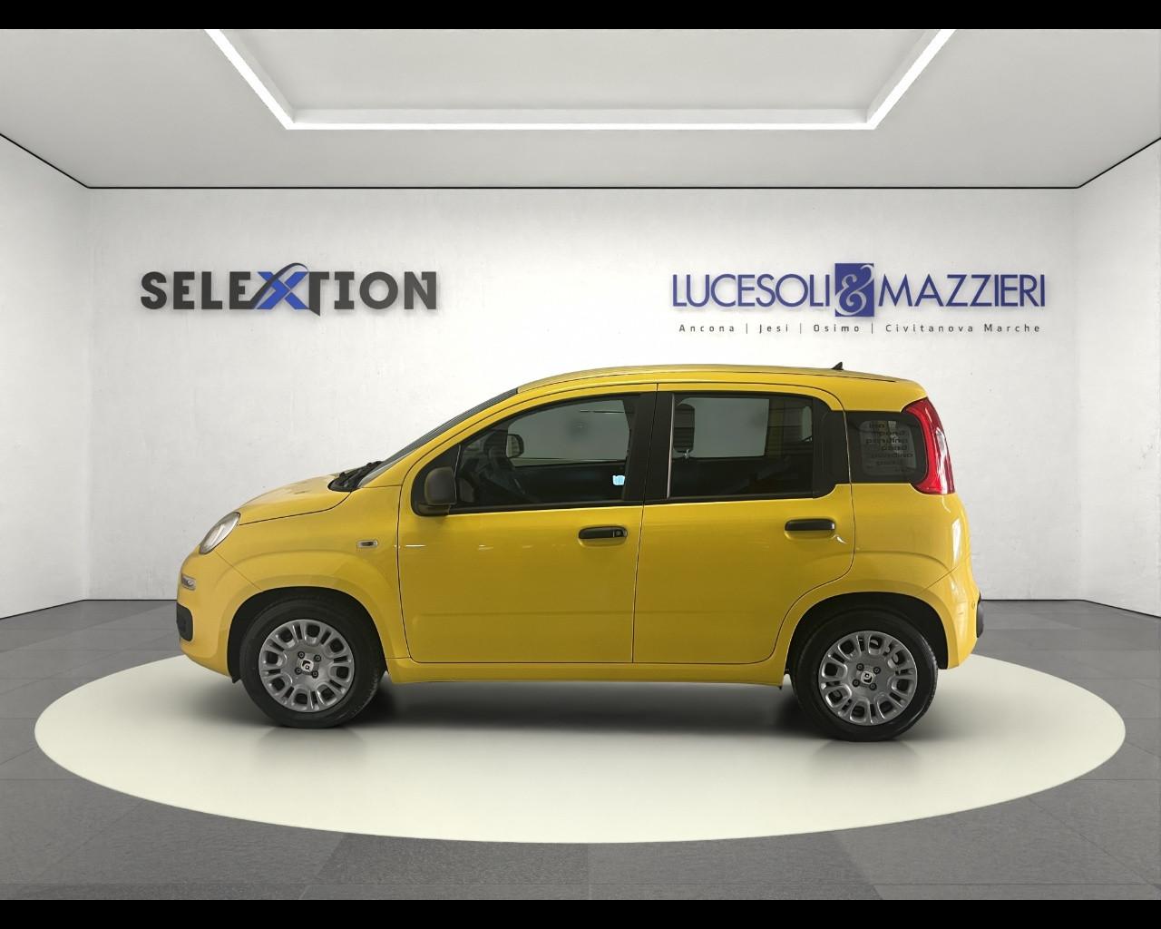 FIAT Pandina - Pandina 1.0 FireFly 65 CV Hybrid Pop