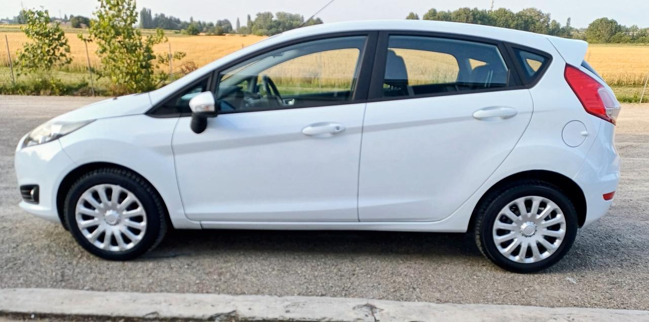 Ford Fiesta 1.4 5 porte Bz.- GPL Black & White Edition