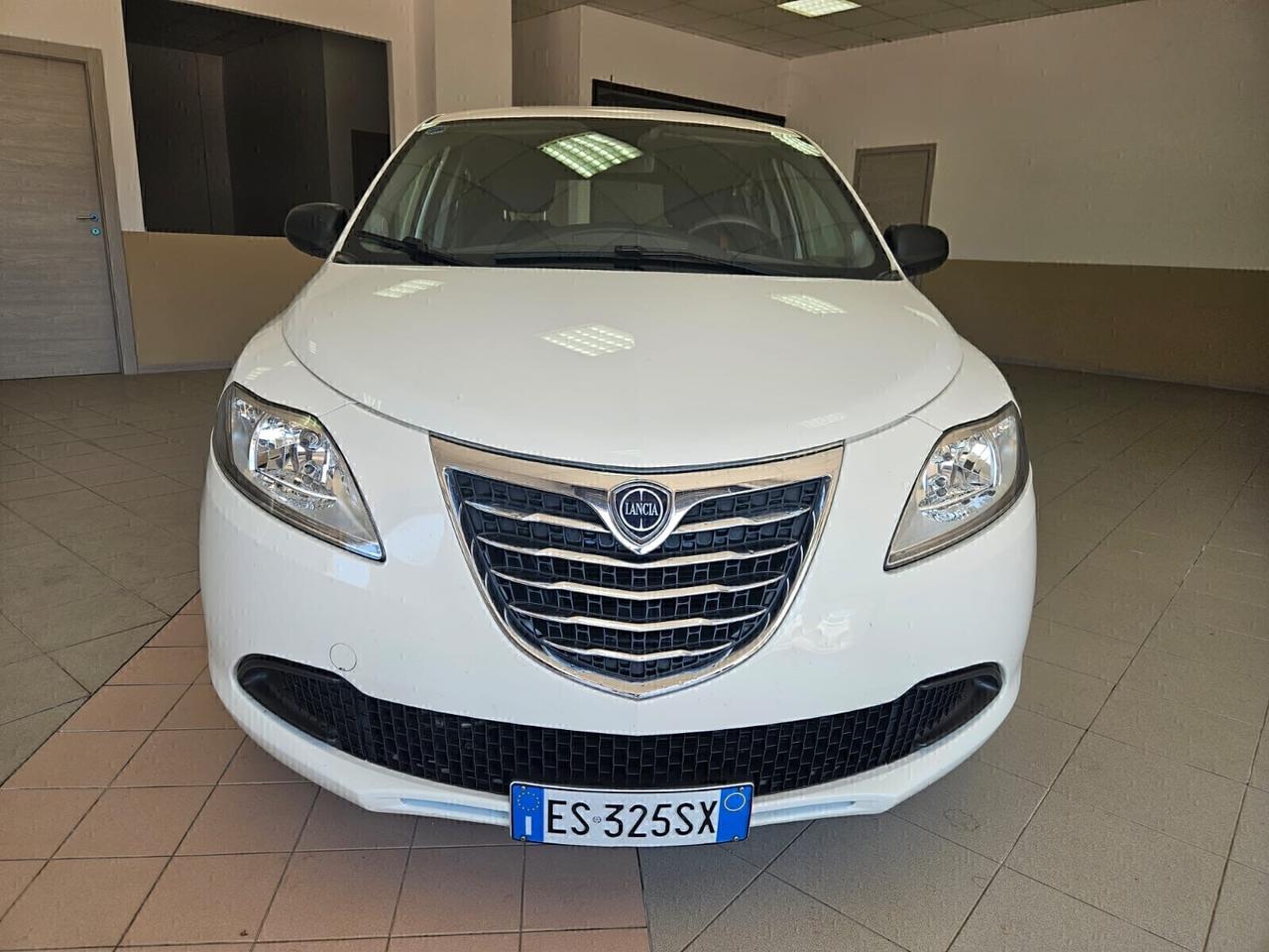Lancia Ypsilon 1.3 MJT 16V 95 CV 5 porte S&S Elefantino