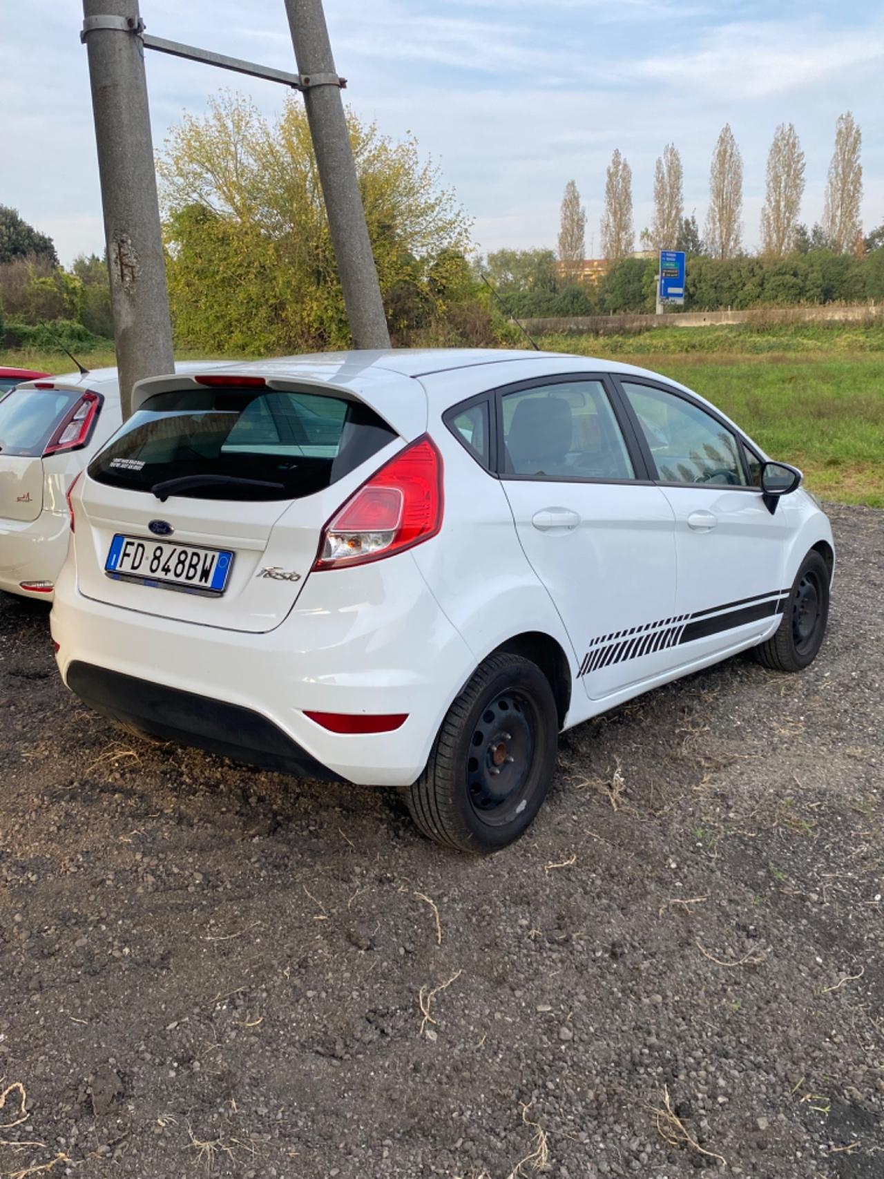 Ford Fiesta 1.4 5 porte Bz.- GPL Black & White Edition